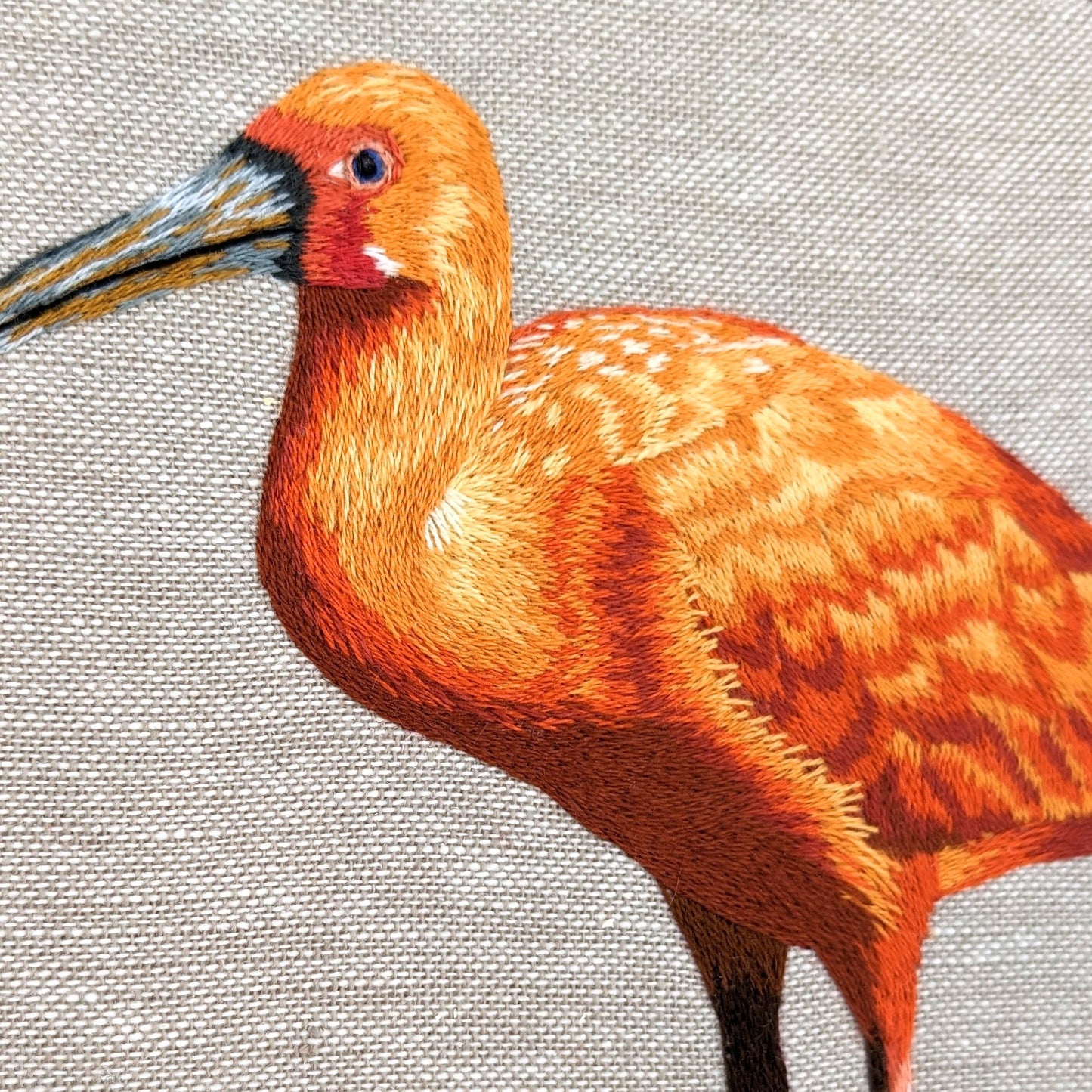 Scarlet Ibis Bird Embroidery Hoop Art
